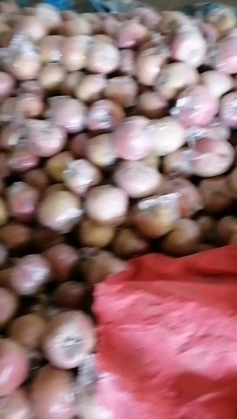 苹果