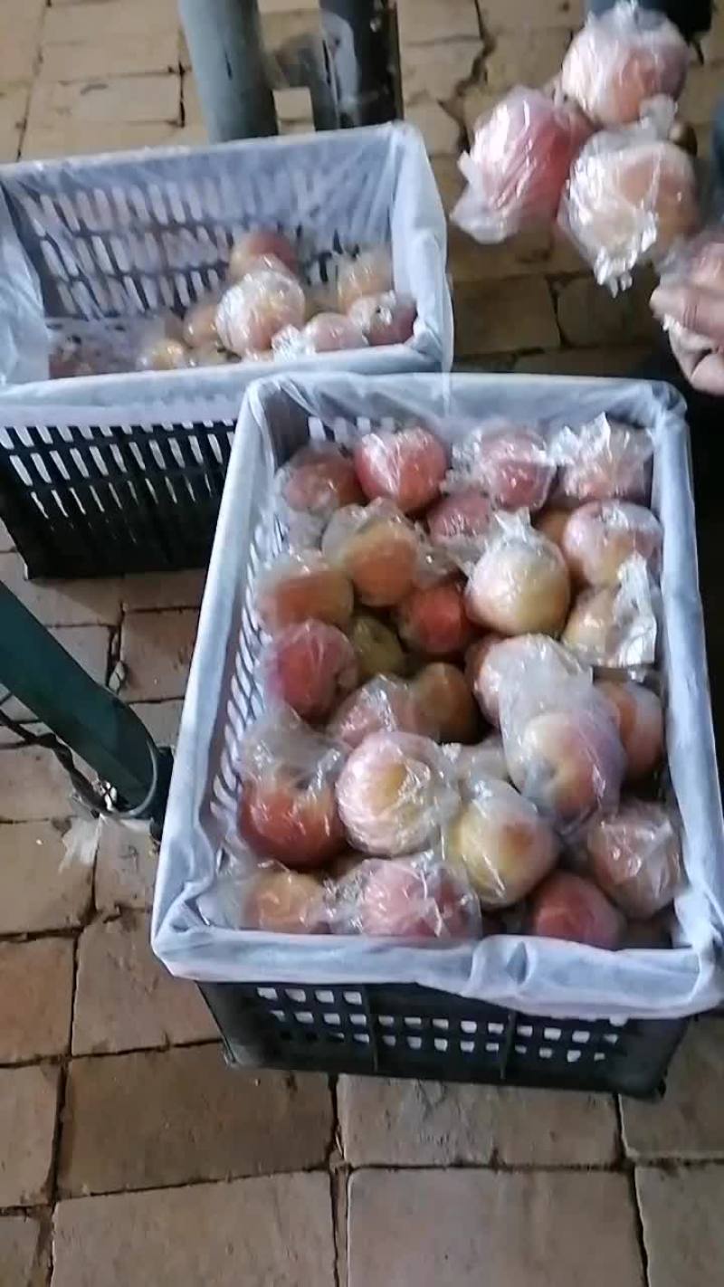 苹果