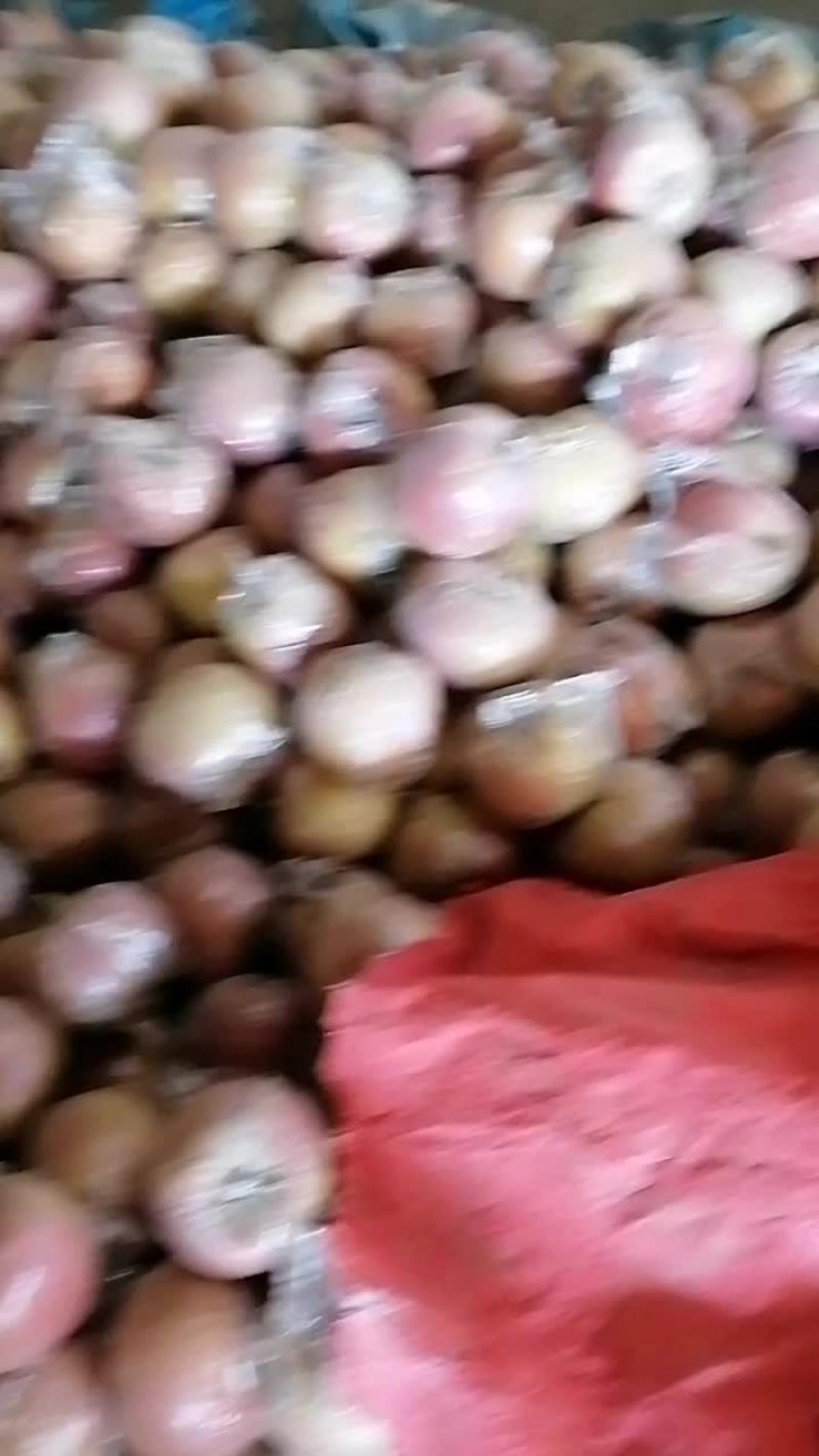 苹果