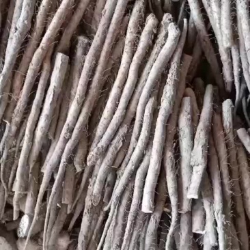 山西白玉山药口感面大量现货