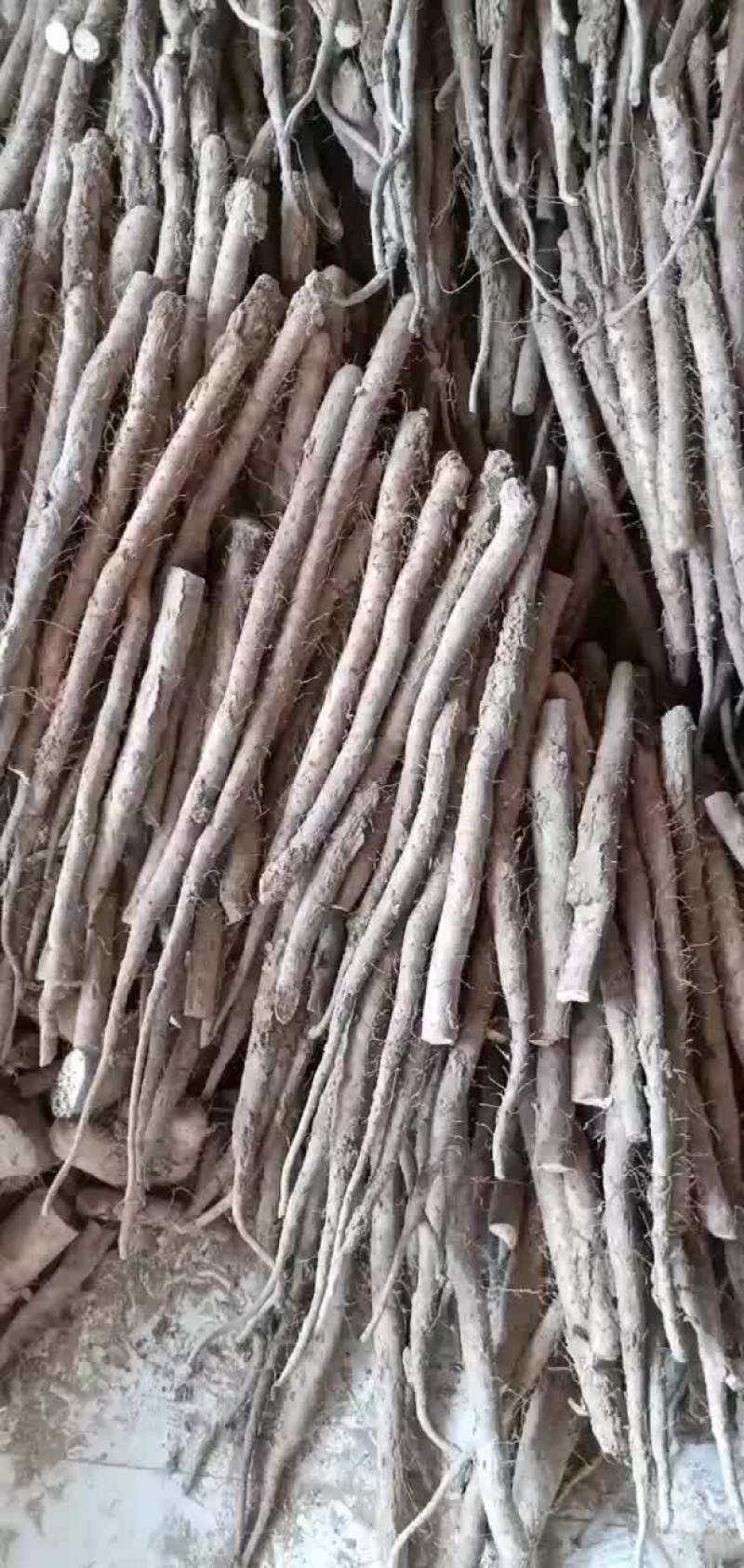 山西白玉山药口感面大量现货
