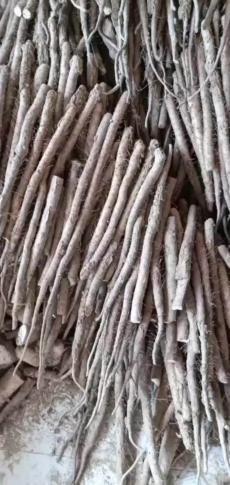 山西白玉山药口感面大量现货