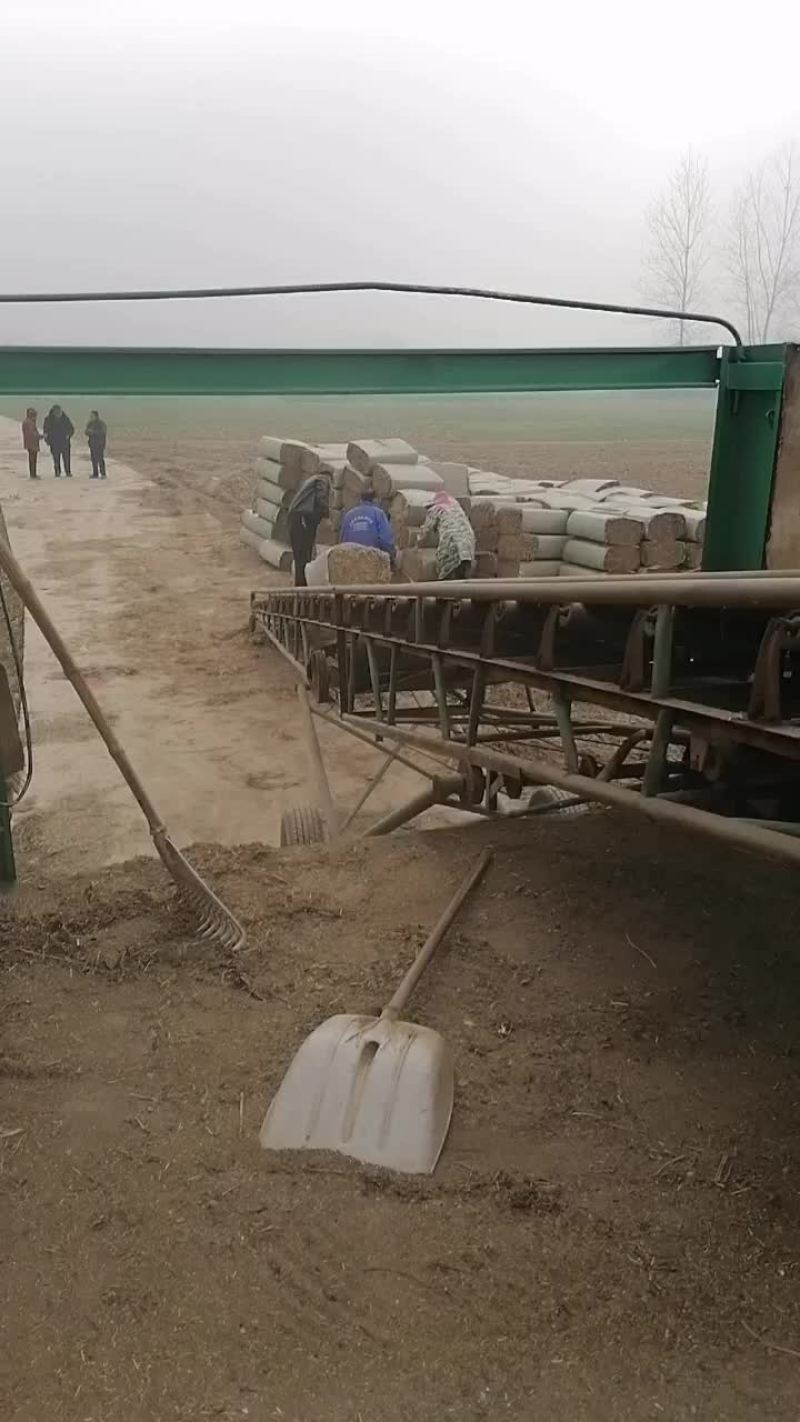 花生秧