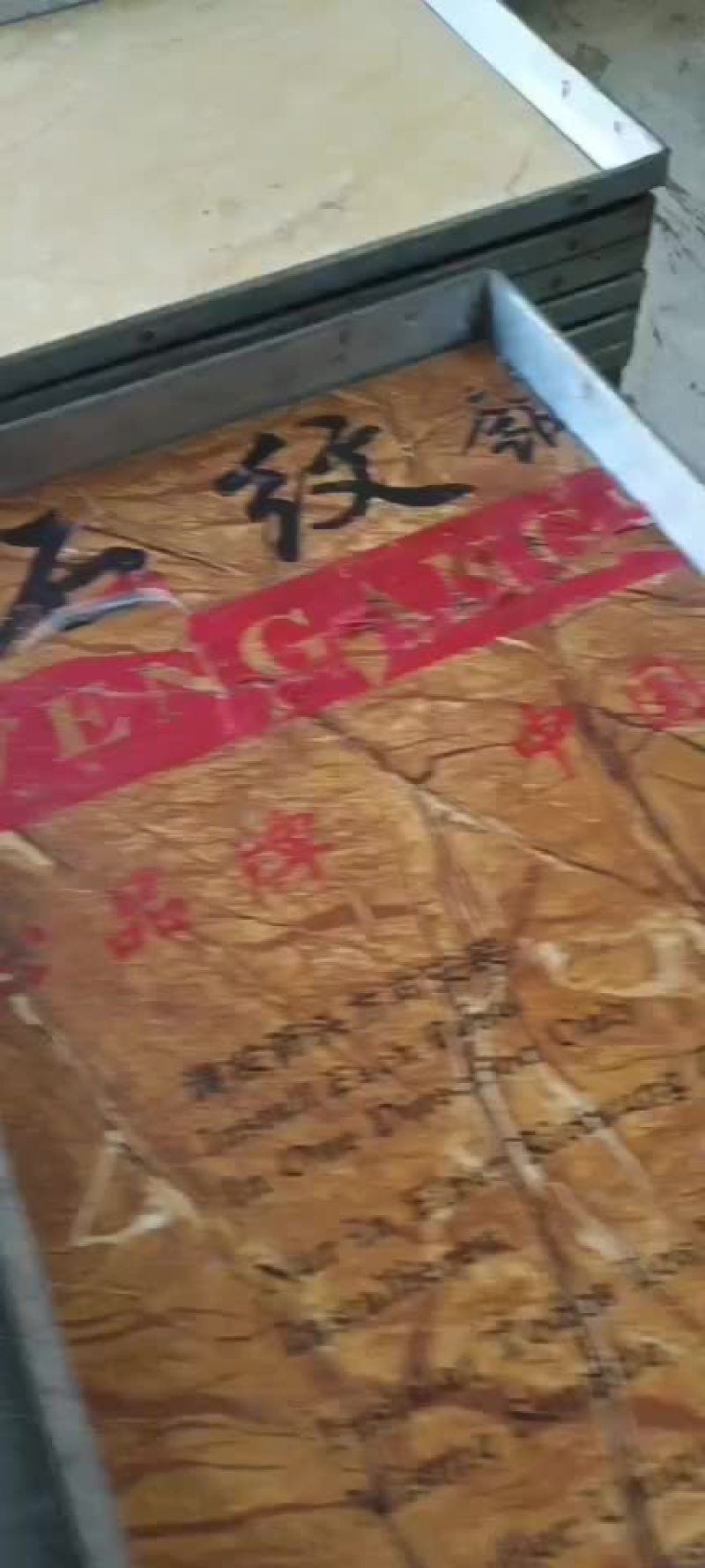 一斤红虫冷冻红虫