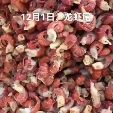 龙虾尾