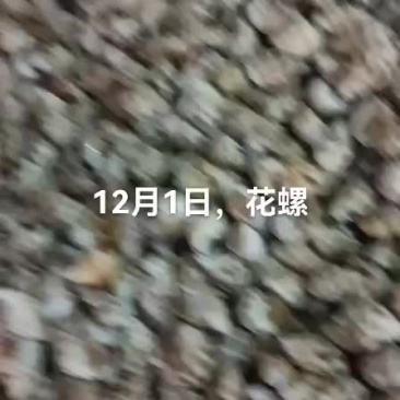 花螺