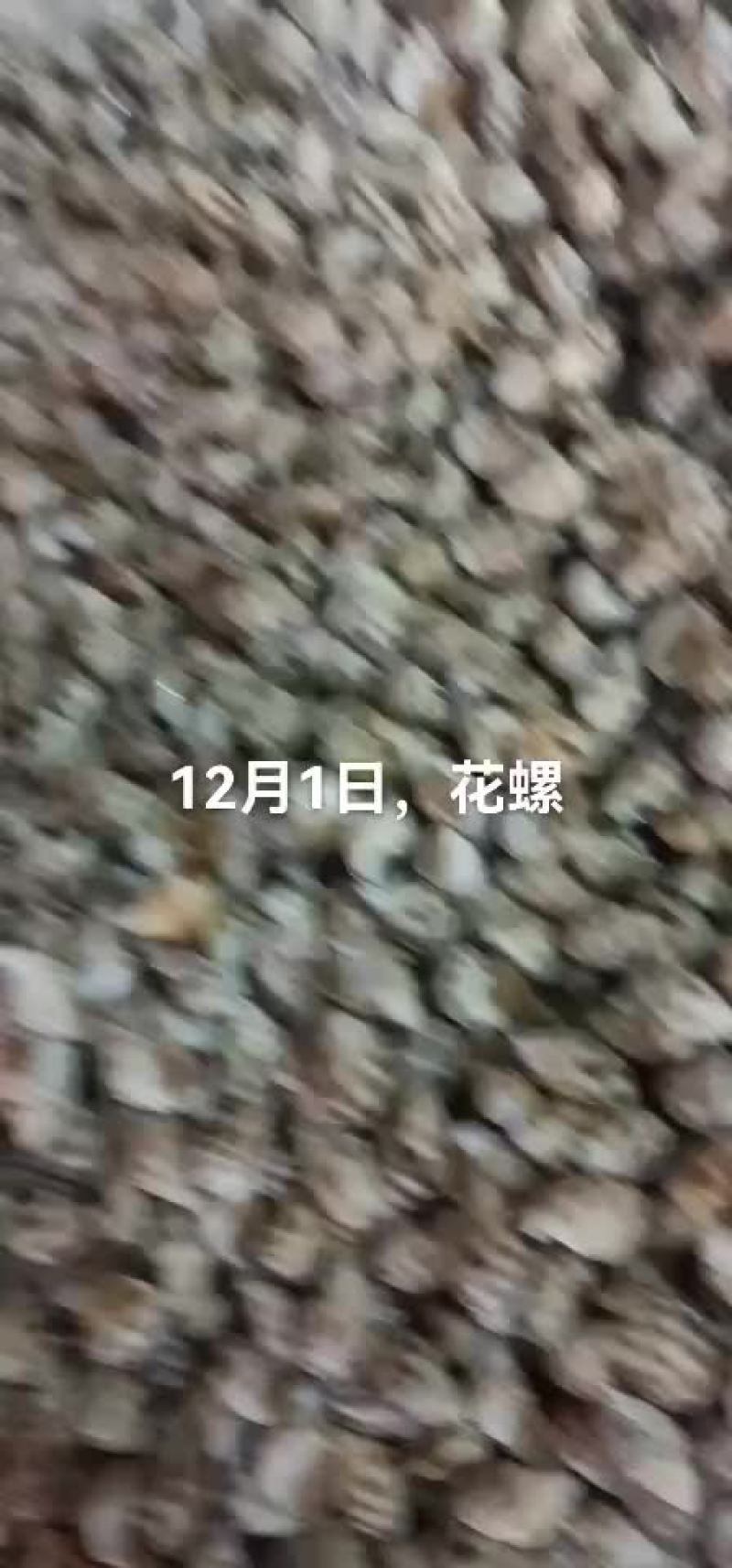 花螺