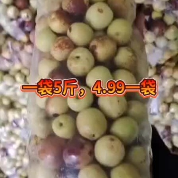 一袋五斤装的冬枣，适合摆地摊用