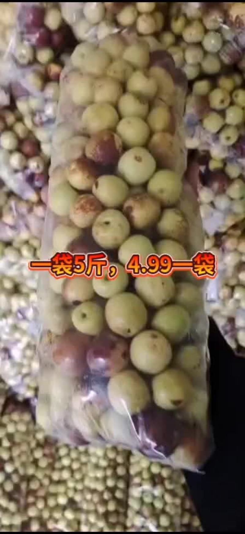 一袋五斤装的冬枣，适合摆地摊用