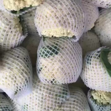 散花