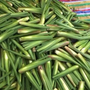 茭白