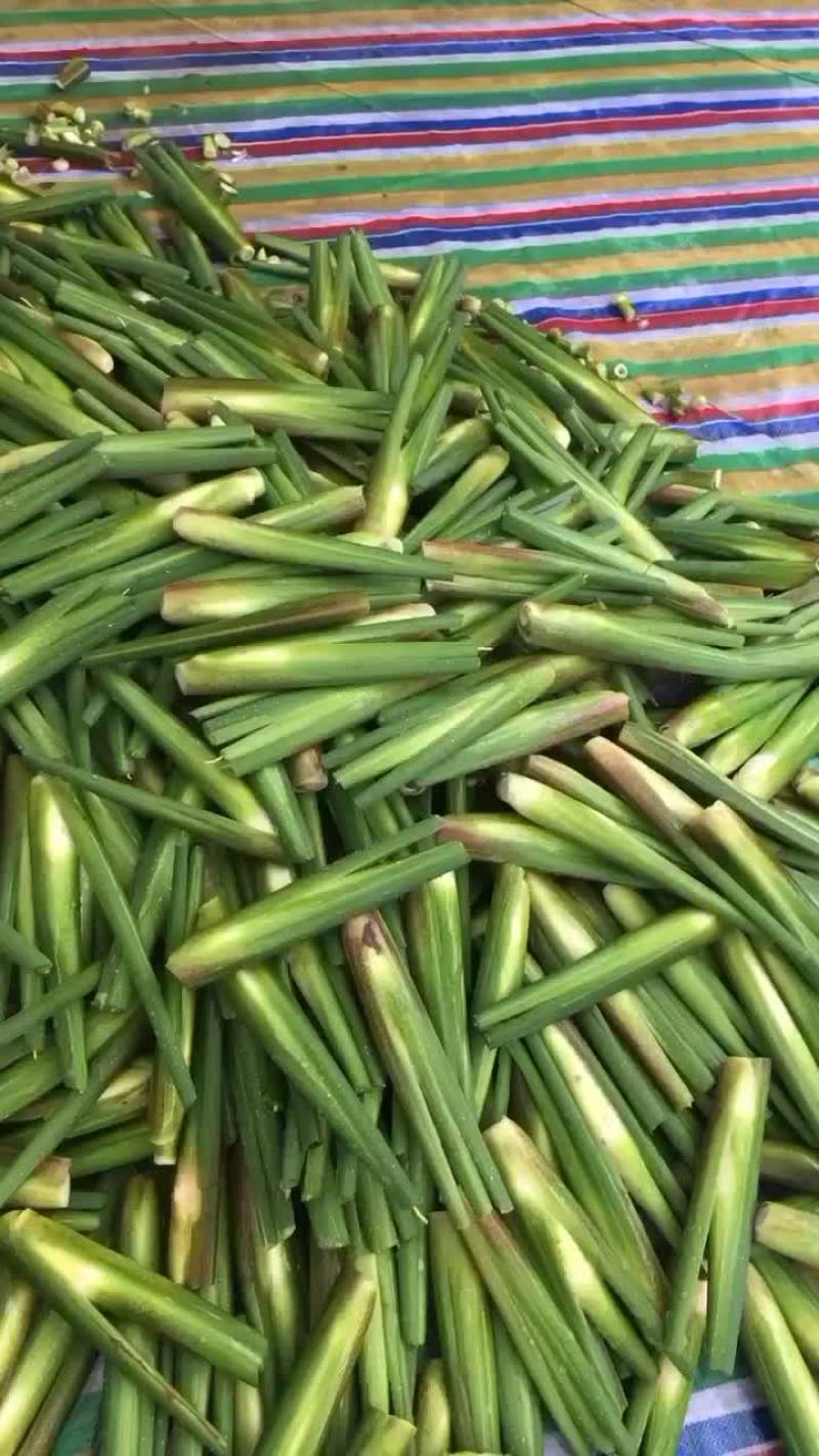 茭白