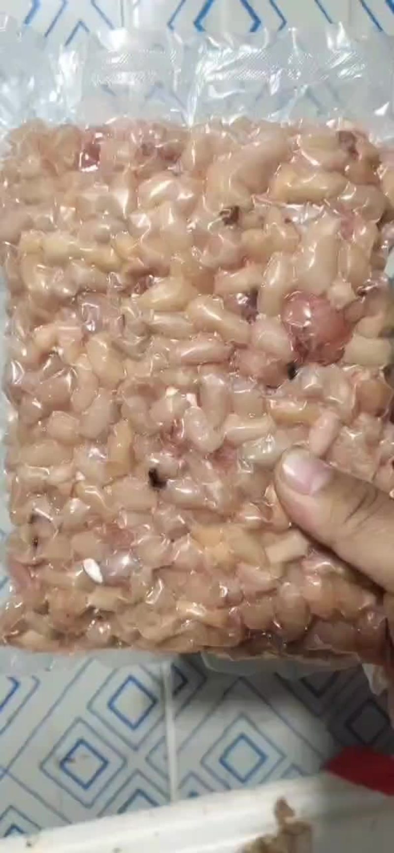 鸡腰子