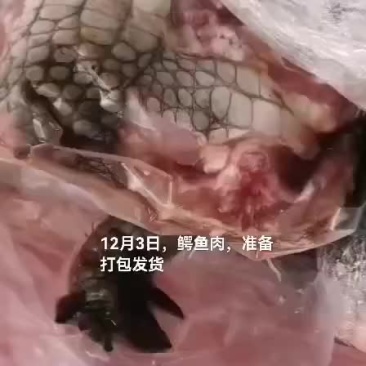 鳄鱼肉，鸵鸟肉