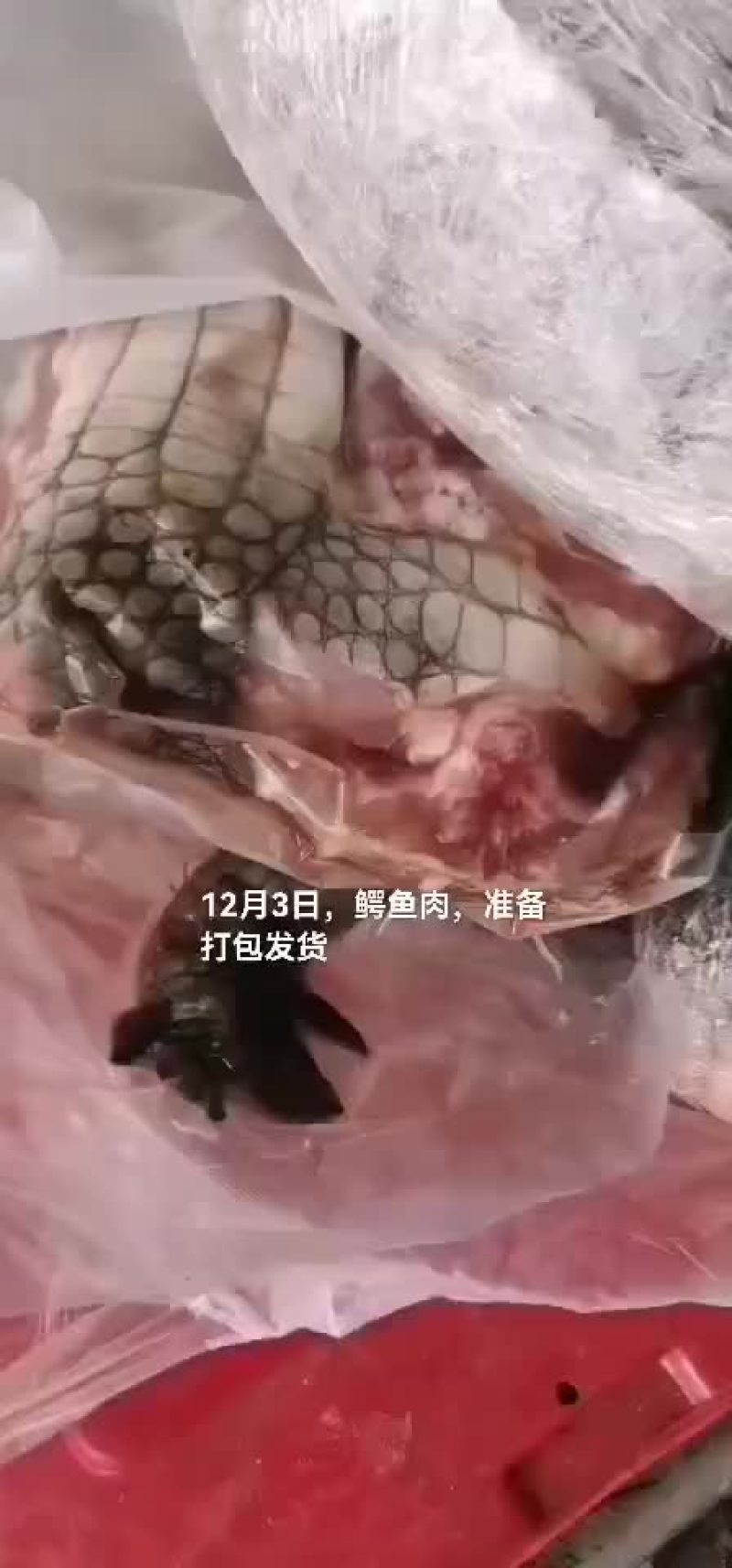 鳄鱼肉，鸵鸟肉