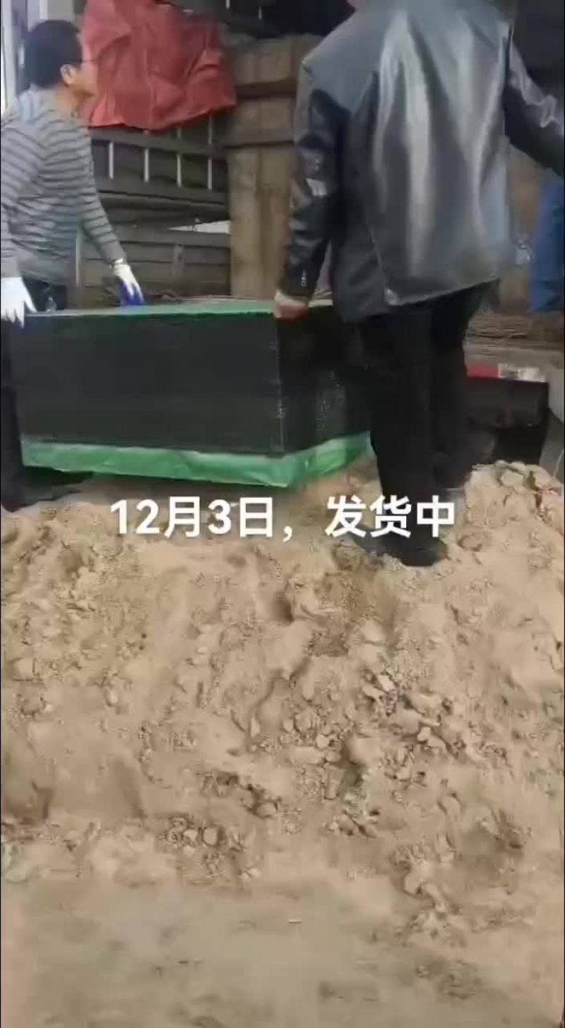 鳄鱼肉，鸵鸟肉
