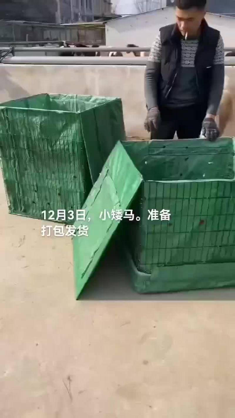 鳄鱼肉，鸵鸟肉