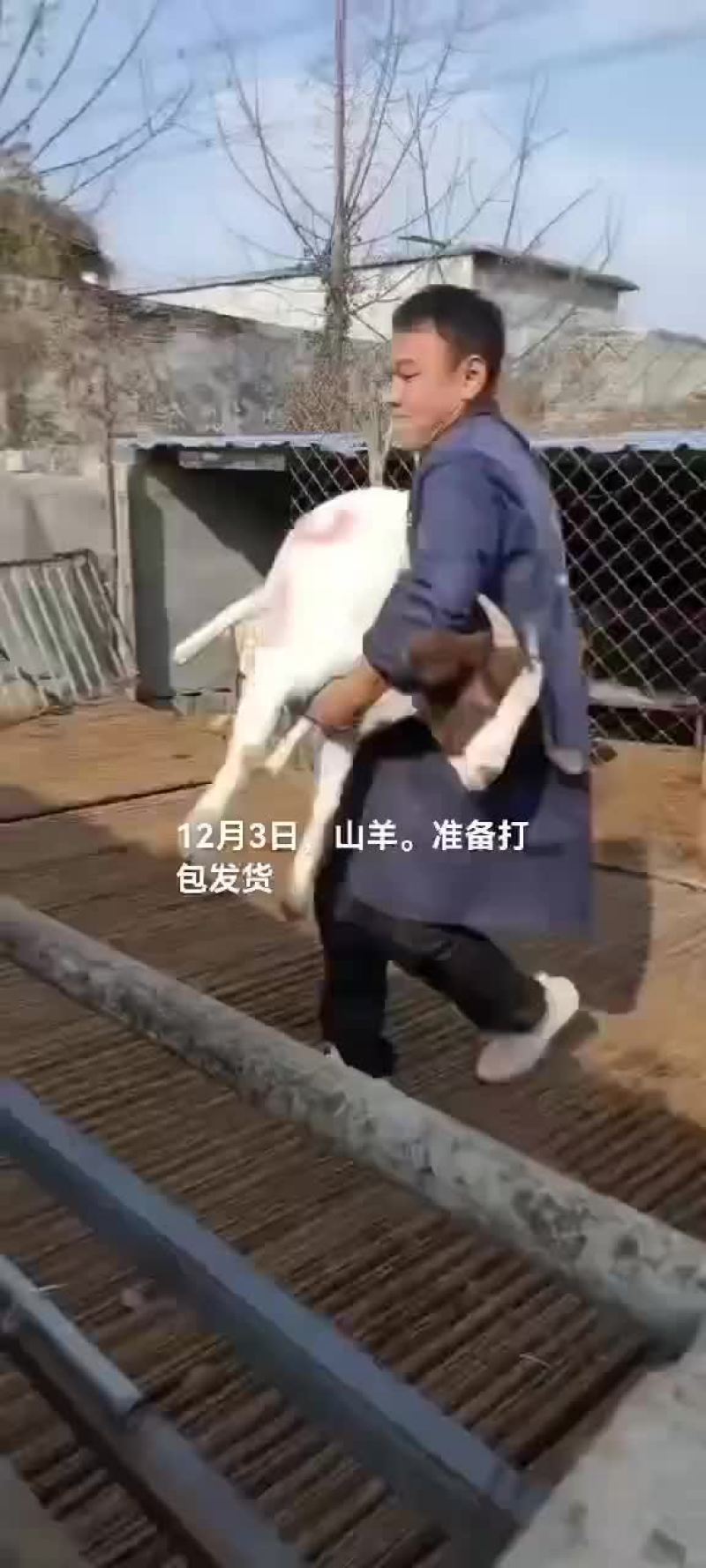 鳄鱼肉，鸵鸟肉