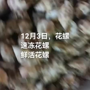 花螺
