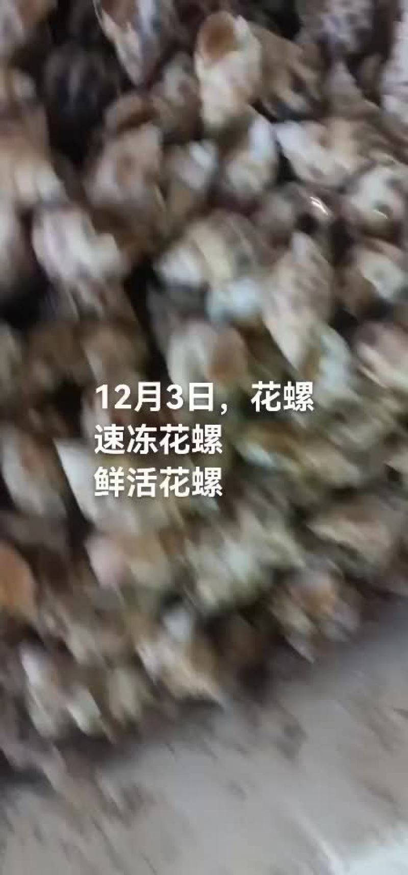 花螺