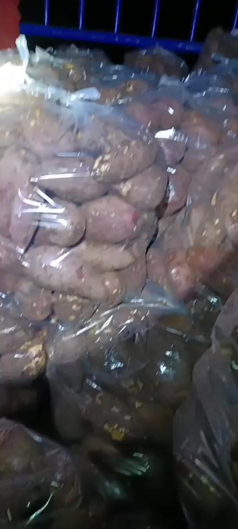 红薯