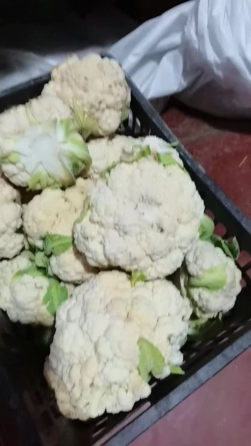 加工厂菜花