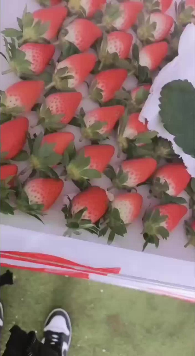 甜宝奶油草莓现已大量上市，货源充足，欢迎商超线上线下