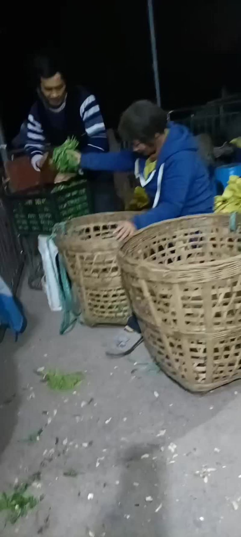 豌豆尖
