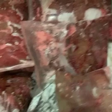 鲤鱼籽鱼泡，因量少新鲜动起来的