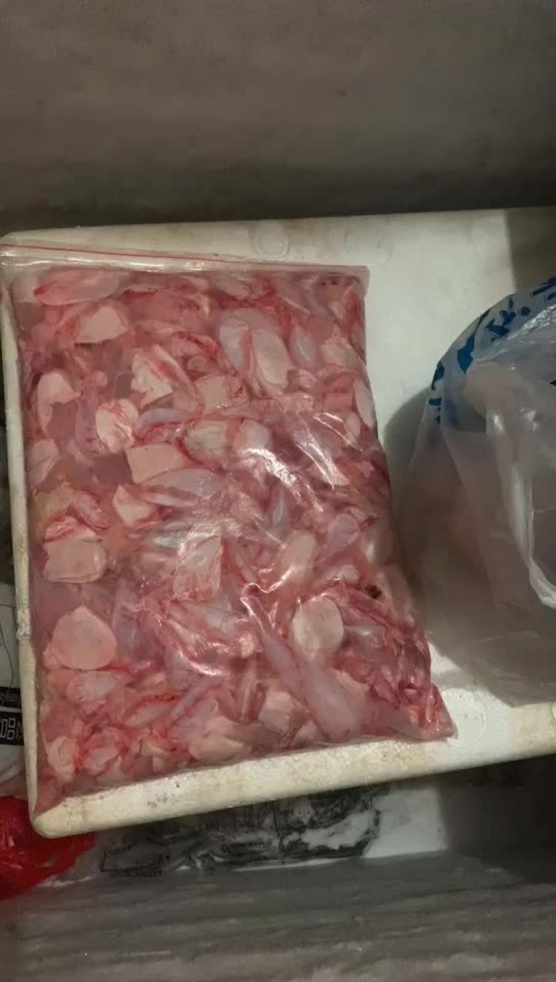 鲤鱼籽鱼泡，因量少新鲜动起来的