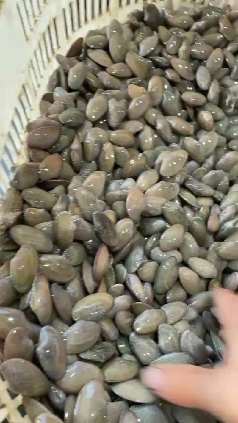 花甲