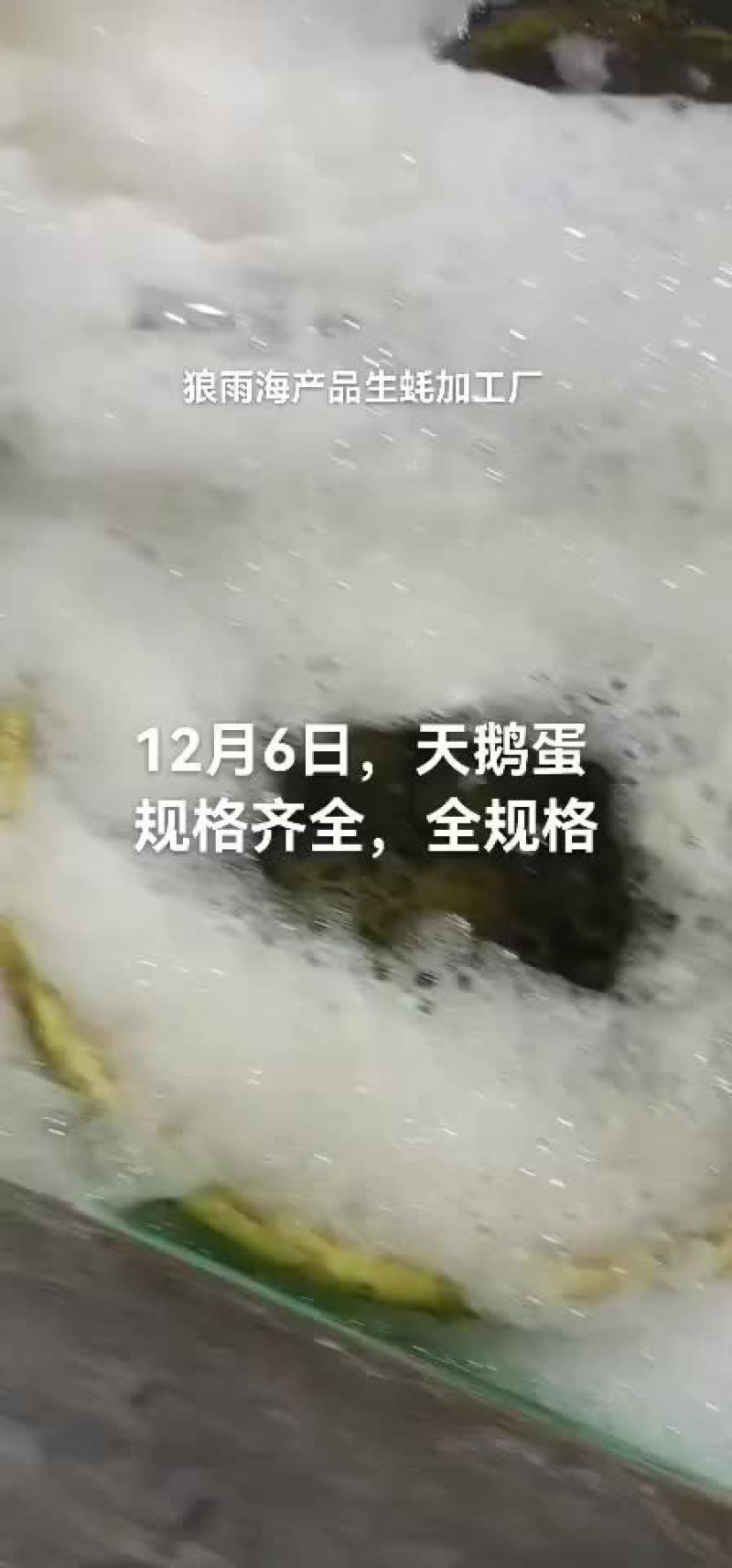 天鹅蛋
