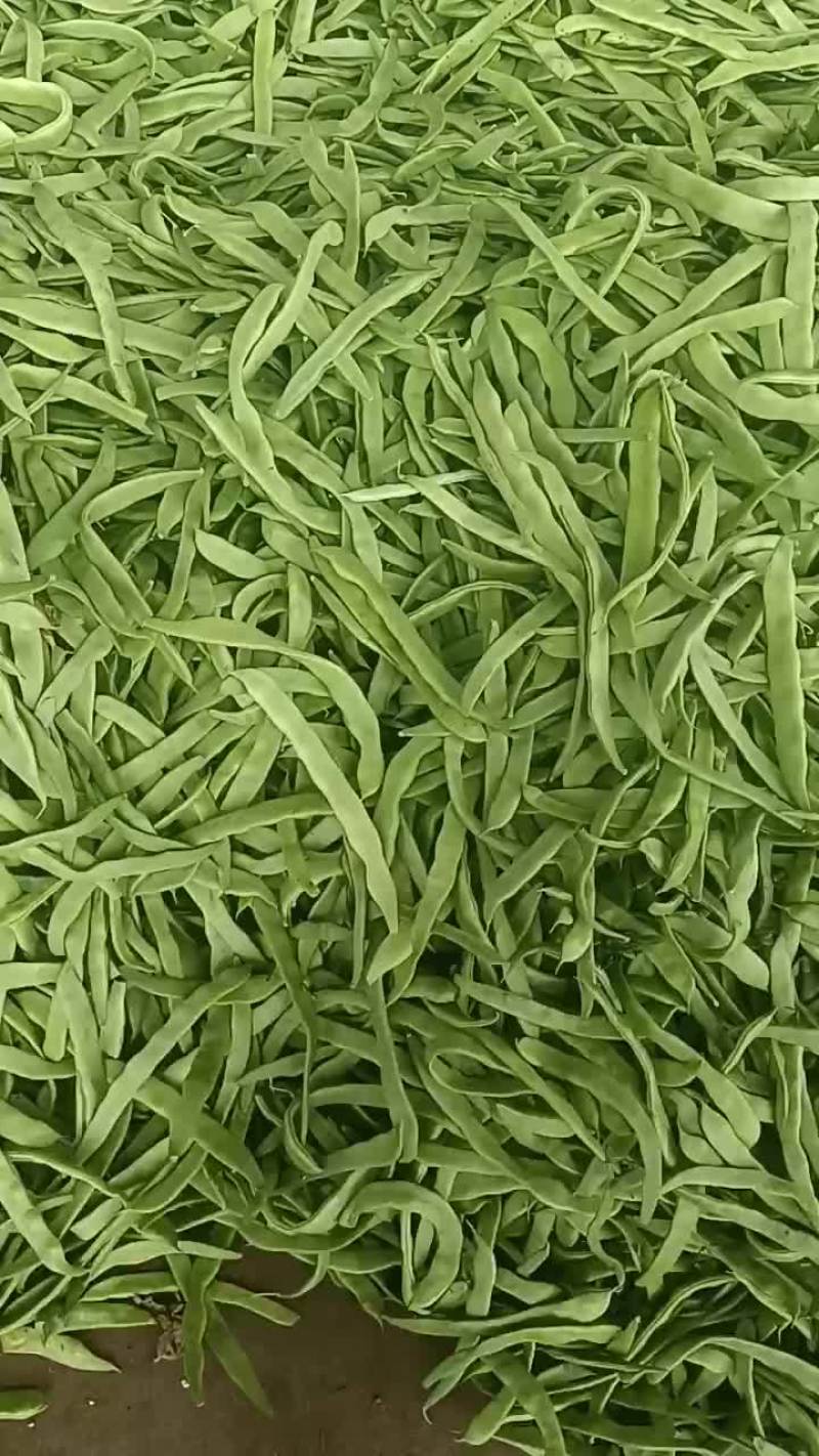 扁豆直发