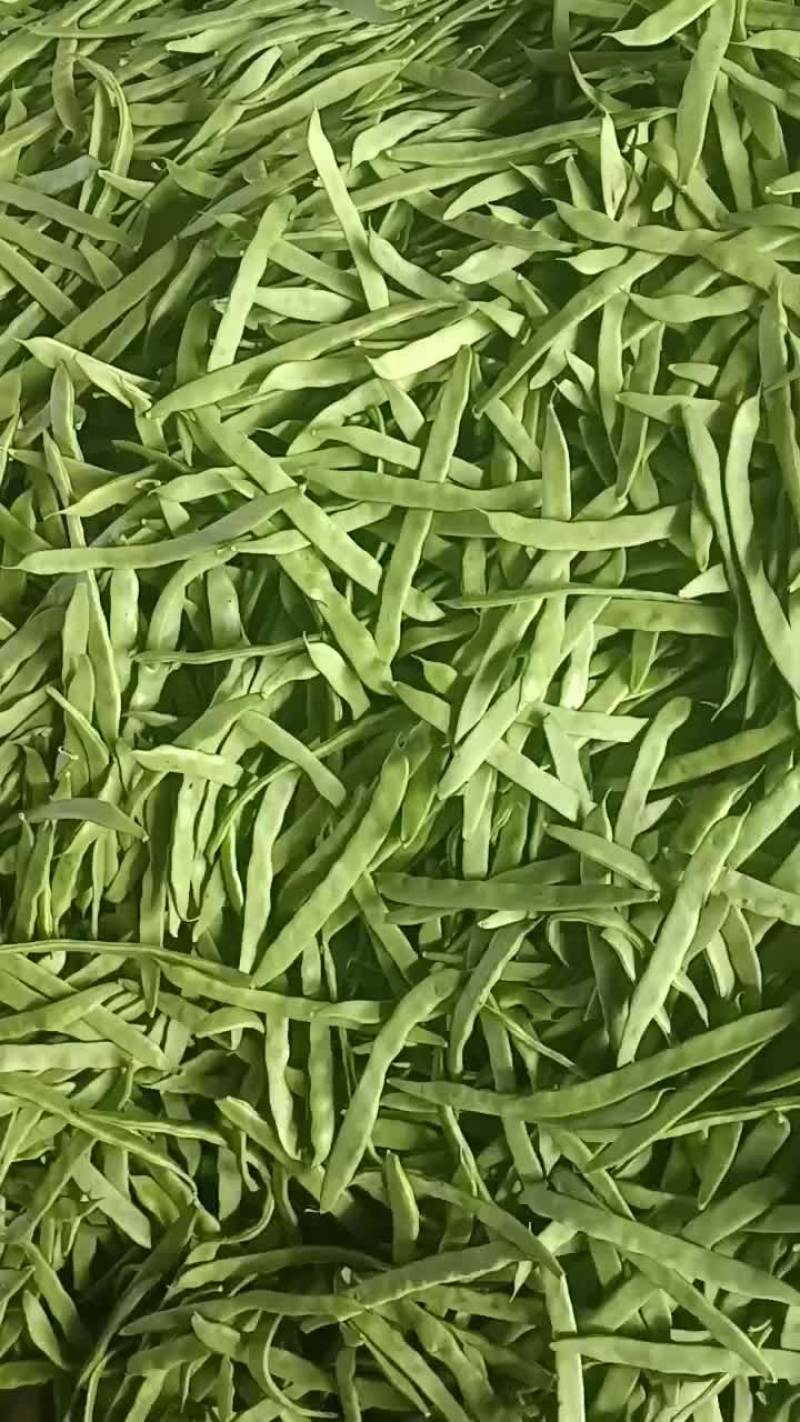 扁豆直发