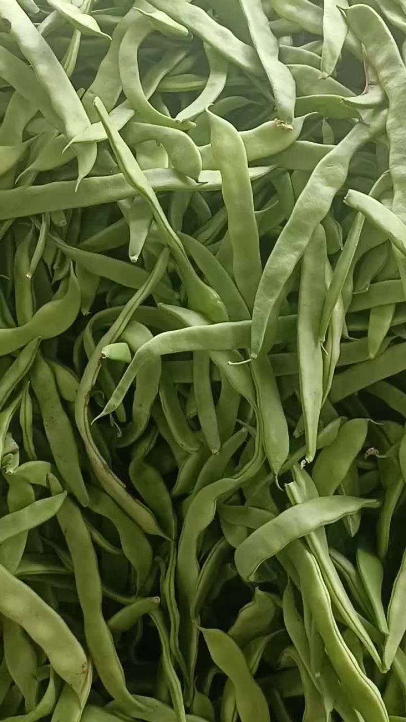 扁豆直发