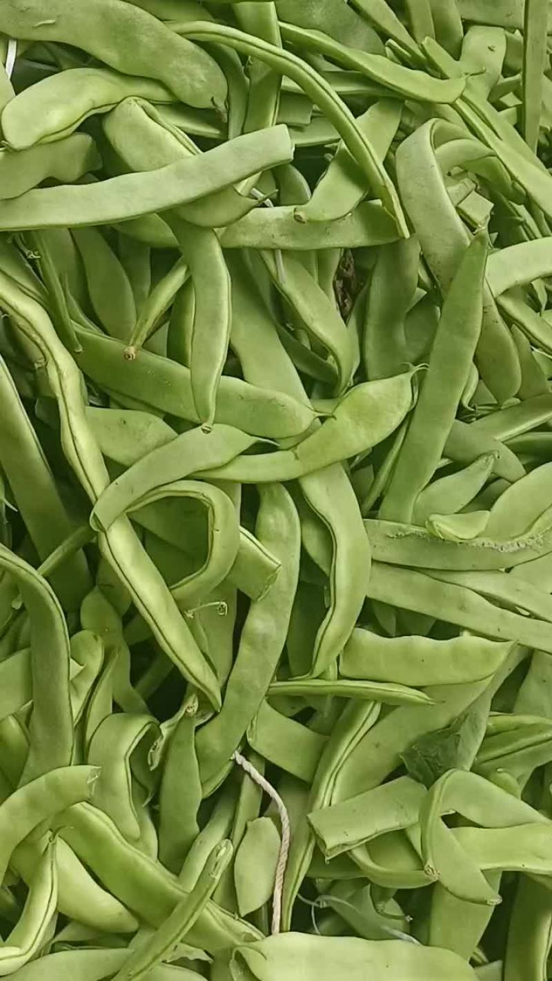 扁豆直发