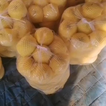 黄元帅二级果大量有货
