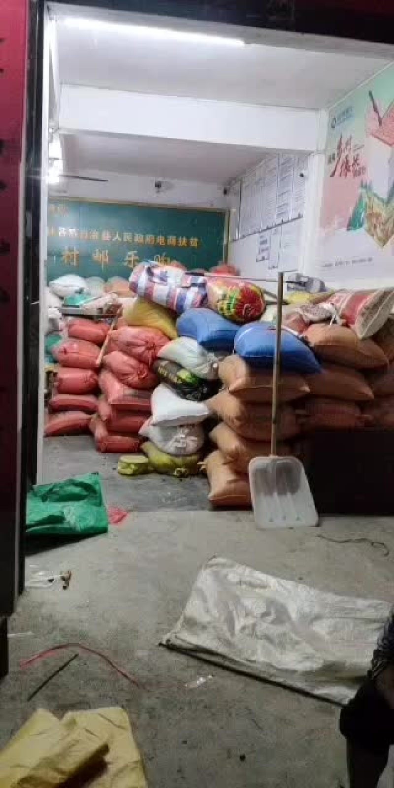 2021年新鲜炒板栗大量供应，欢迎新老朋友前来订购！
