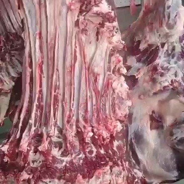 鲜牛肉