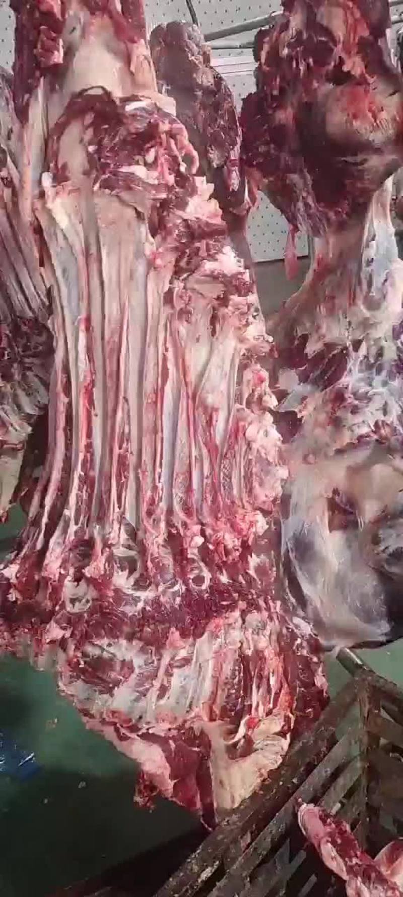 鲜牛肉
