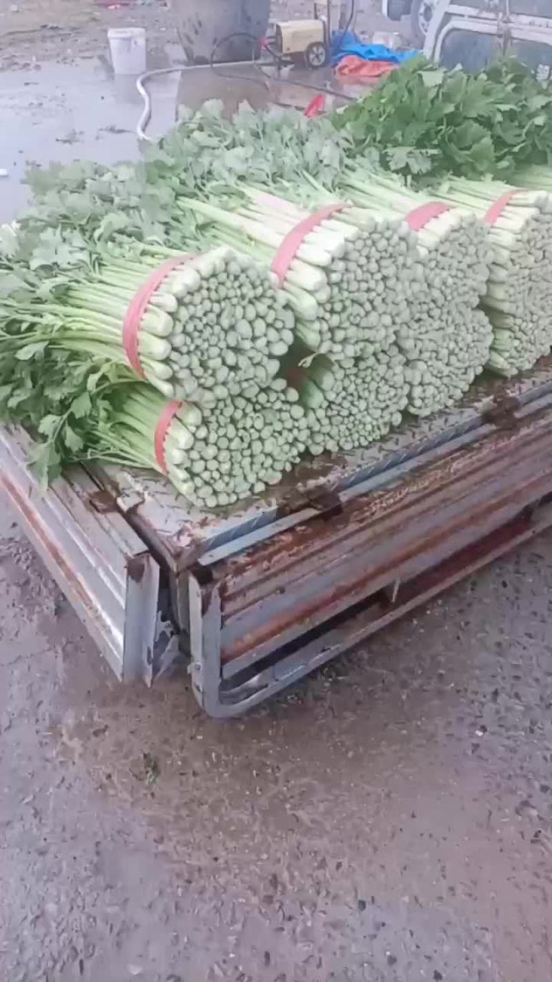 芹菜