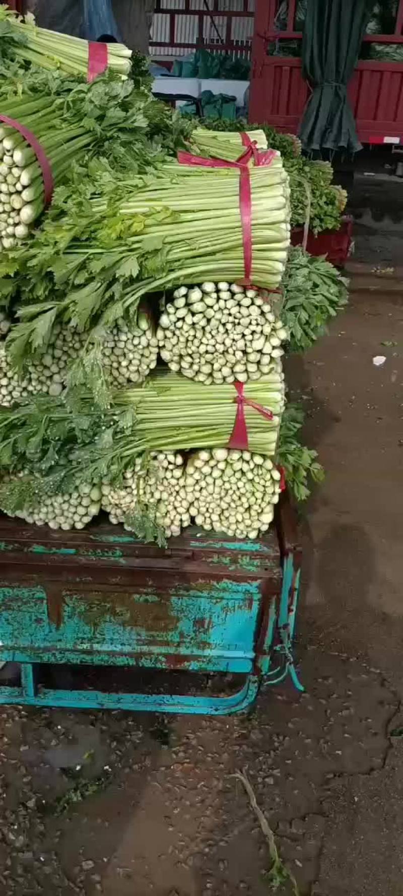 芹菜