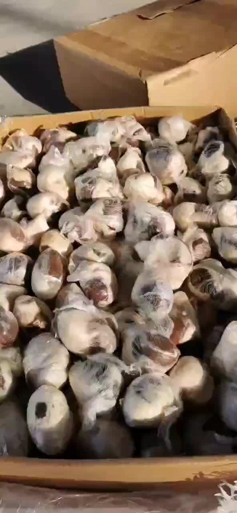 原油腰子，羊腰！