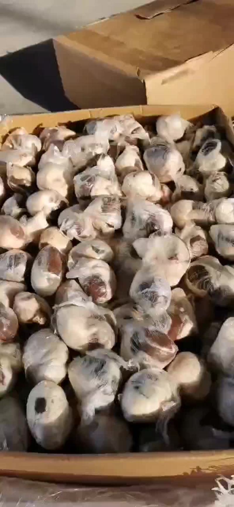 原油腰子，羊腰！