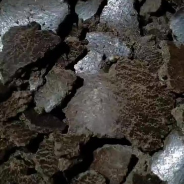 牛羊油渣