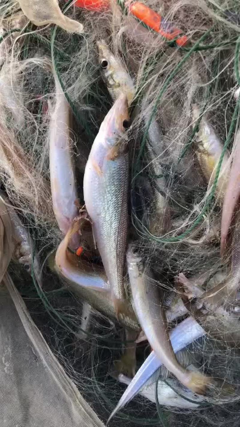 海鲜
