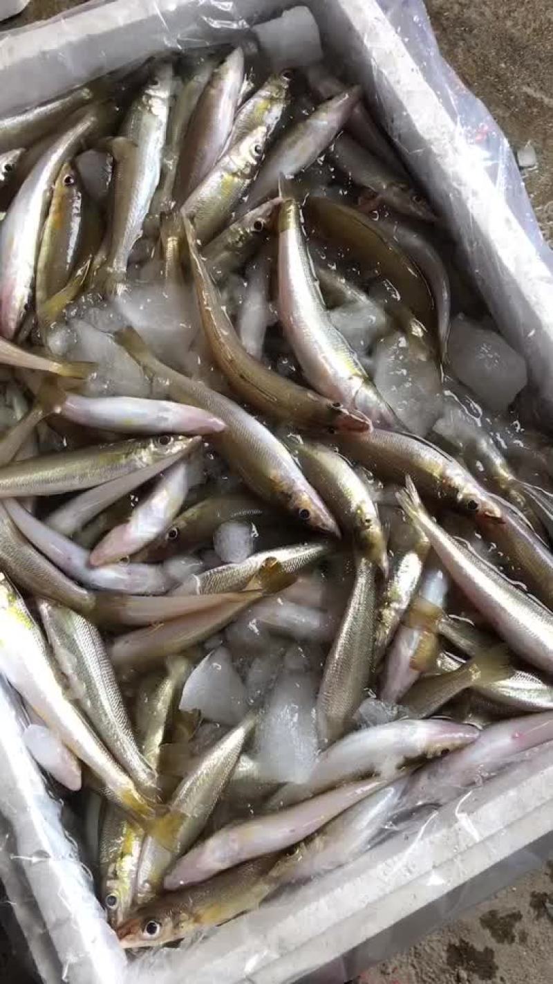 海鲜