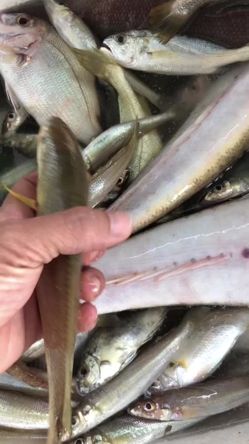 海鲜