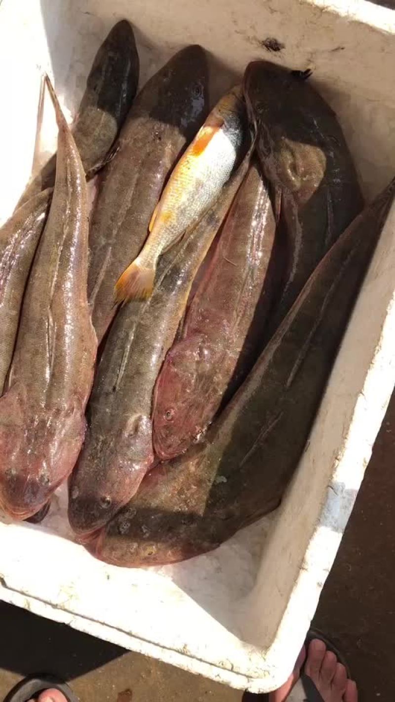 海鲜