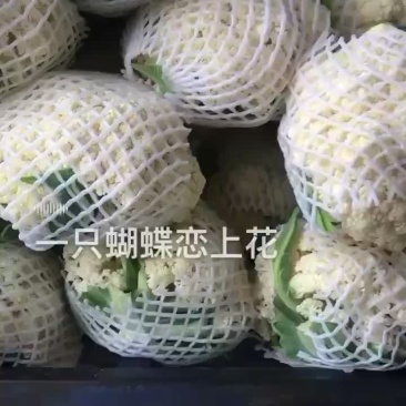 散花